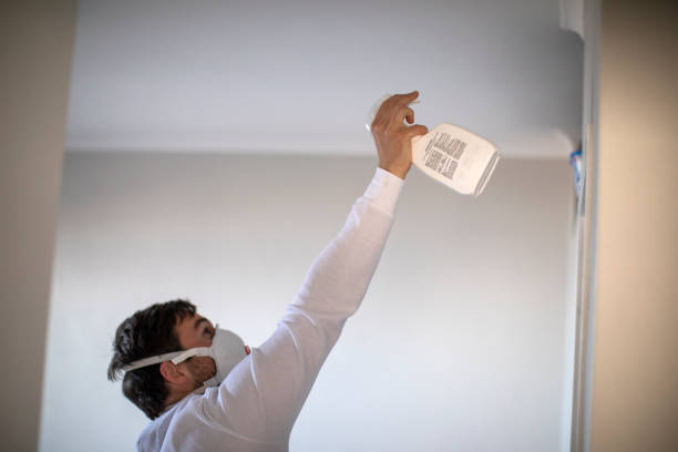 Best Bathroom Mold Remediation in Lebanon, IL