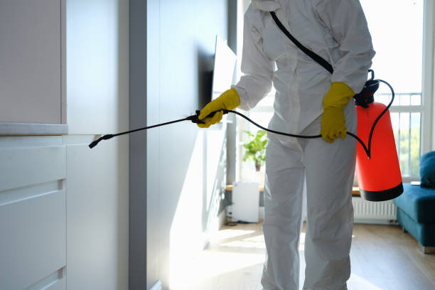 Best Crawl Space Mold Remediation in Lebanon, IL