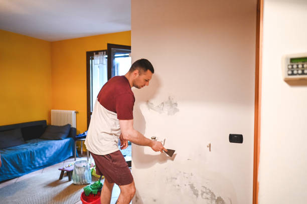 Best Health and Safety Mold Remediation in Lebanon, IL